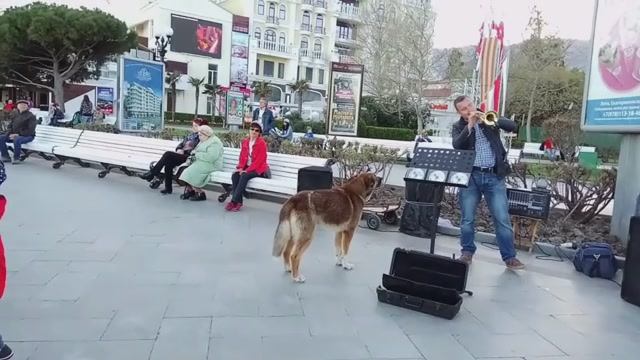 Ялта. Музыканты /27.04.2017/