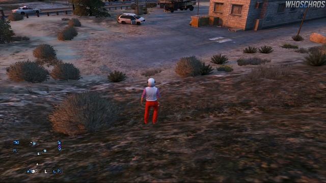 GTA 5 Online Funny Moments - Flying Tank Montage, Stunt Pig, Body Launches! | Whos Chaos