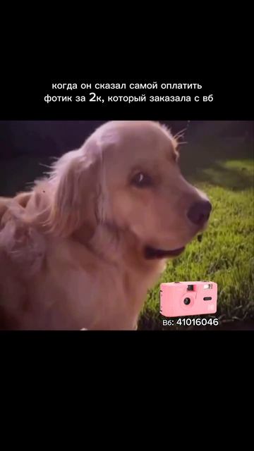 🌸 Kodak M35 Розовый (WB: 41016046) – нежность и мечты в каждом кадре