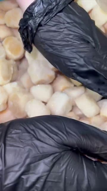 Гребешок курил Самое лучшие в розницу и оптом для любимых клиентов