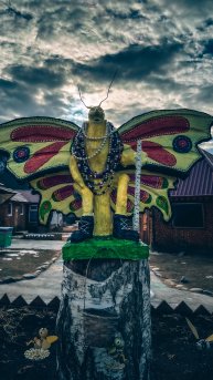 Фото с Алтая