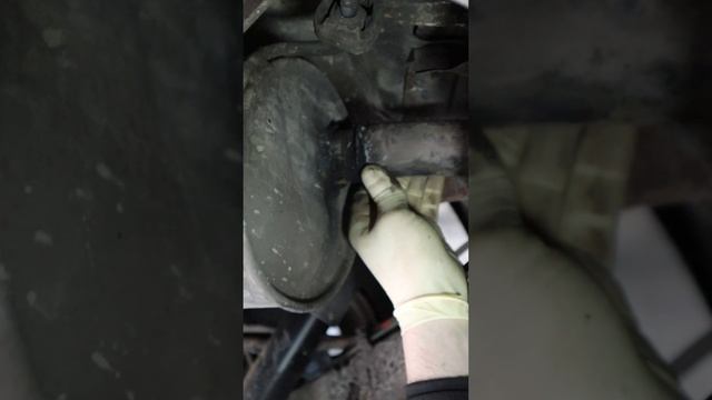 день французского автопрома