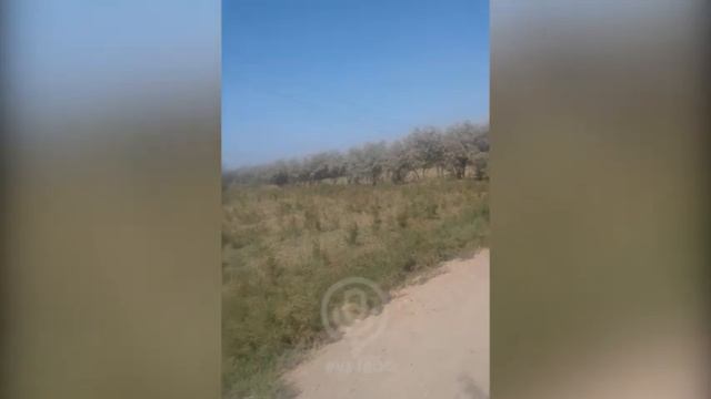 Ангор туман Навшаҳар маҳалласида яшовчи фуқаролар эскирган симёғочларни янгилаб беришни сўраган