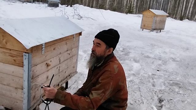 Собираю подмор . Костёр в лесу на пасеке.