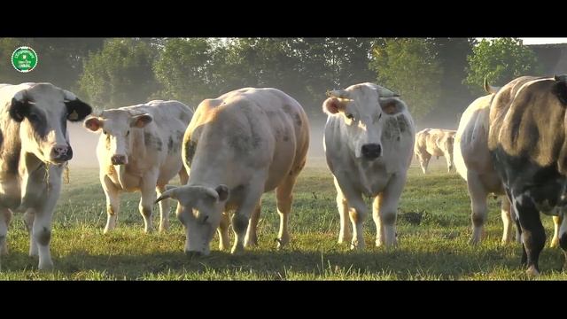 l'Engagement Bien-Être Animal