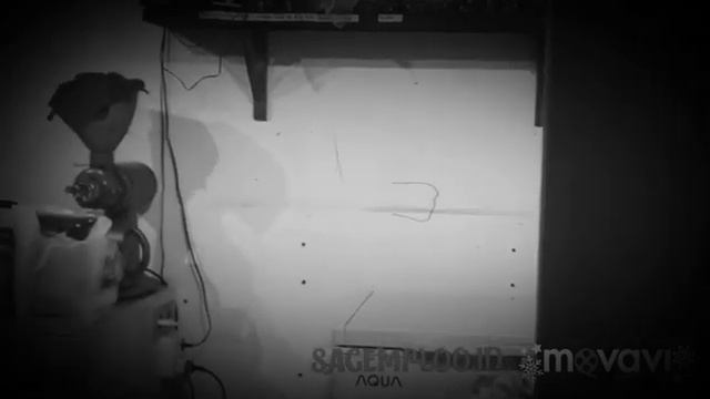 Sagemploo Coffee // Support Video by Movavi