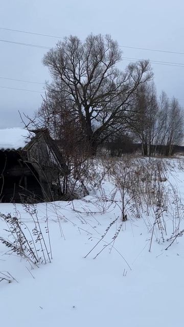 Пусто в деревне