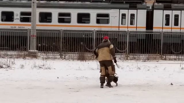 Отважная Шали из Дьякова Городища - занятие 14.01.2018