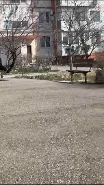 Контраст!