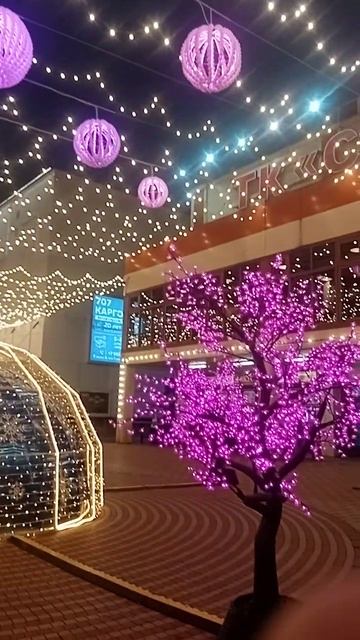 Торговый  центр "Садовод" встречает гостей в предверии Нового Года.