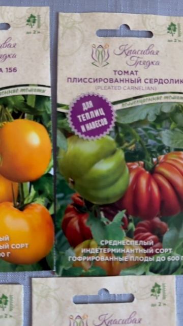 ТОП СОРТОВ ТОМАТОВ для нового дачного сезона 🍅