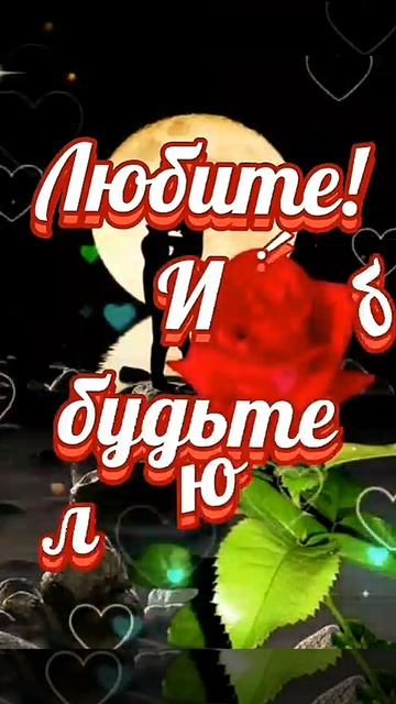 совет дня