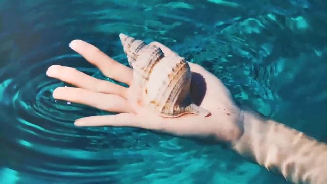Stop Motion Presets