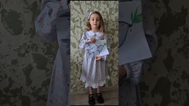 2.mp4