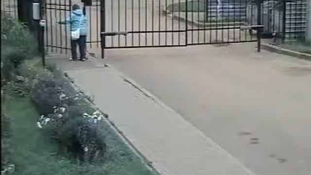 Хулиганы ломают забор