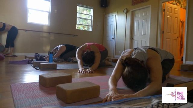 Classes at the Maui Yoga Shala