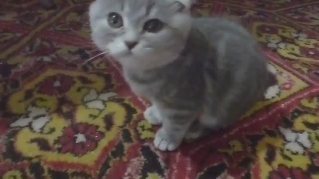 ОЧЕНЬ ВКУСНО ПОКУШАЛ.Видео Татьяны Крестьянсковой