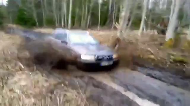 Когда Quattro есть, а жалости нет.