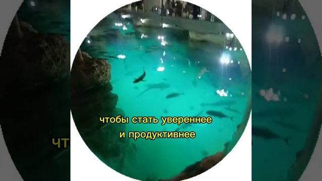 энергодыхание - ключ к успеху