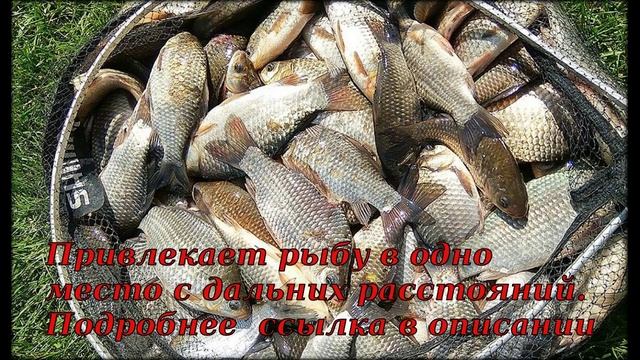 прикормка для рыбы купить