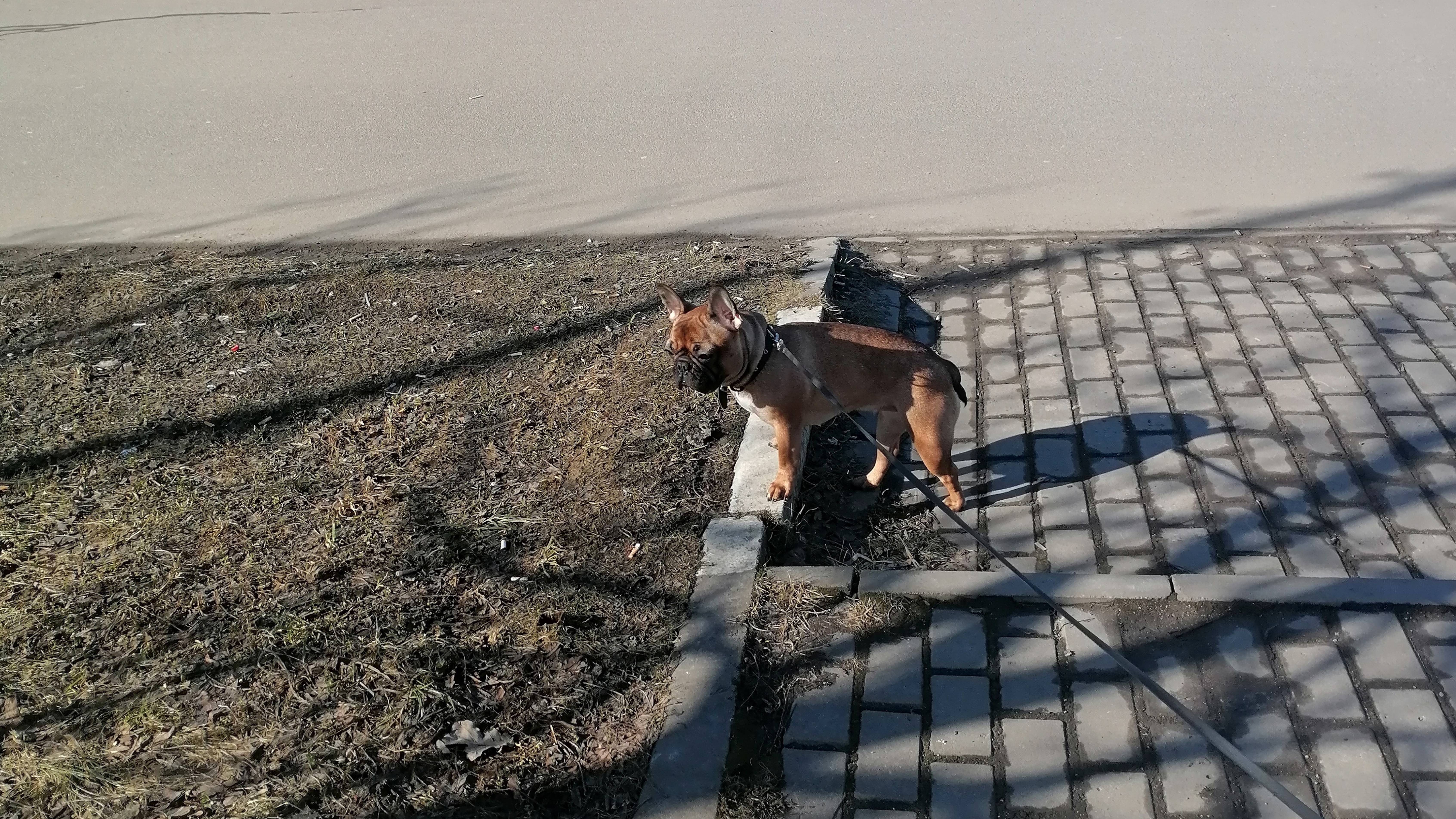 VID-20250306-WA0011