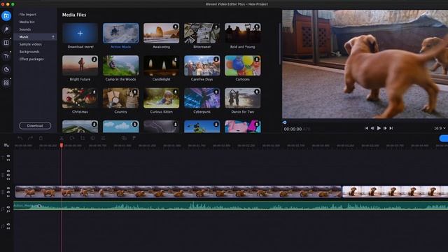 Movavi Video Editor Plus 2021 | اسهل برنامج مونتاج لليوتيوب ! ✅🎥