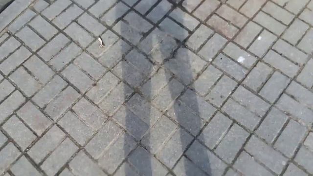 Топ