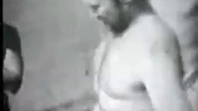 Группа 31/2 в 1982г