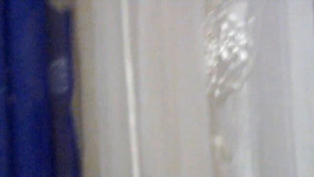 я нарисовала на рисовании  ,филина,ёжика и котика