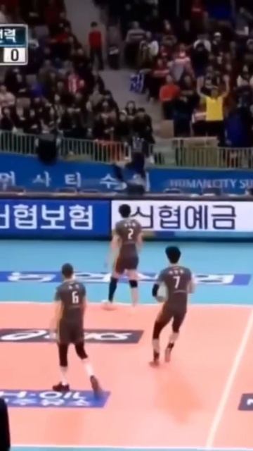 #volleyball #волейбол #haikyuu #libero #либеро