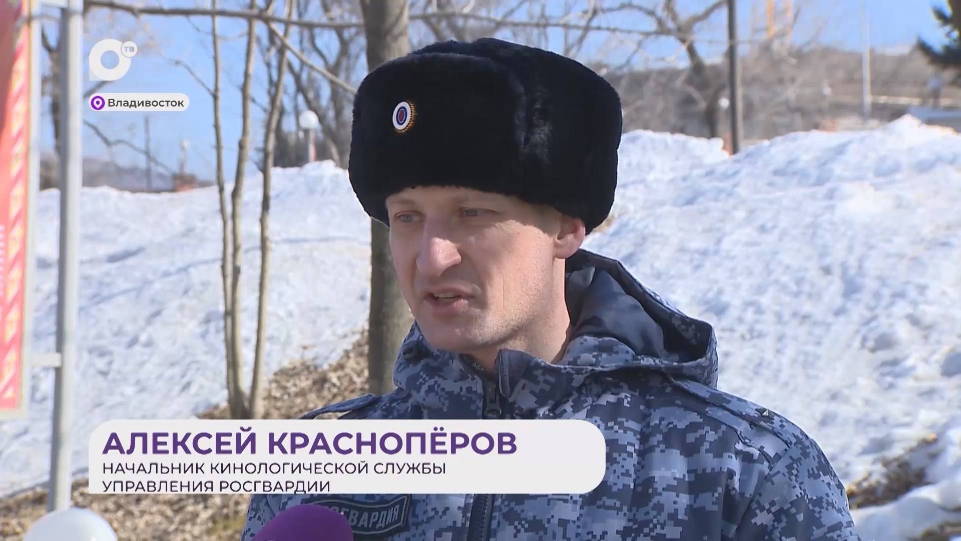 Прямая речь / О собаках / 12.03.25