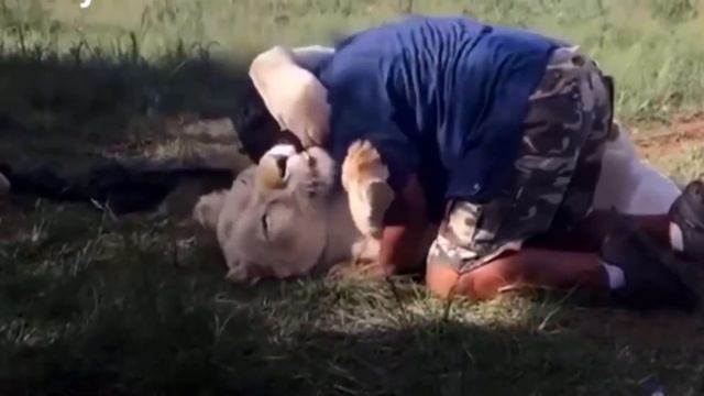 Incredible friendship between wild animals and humans