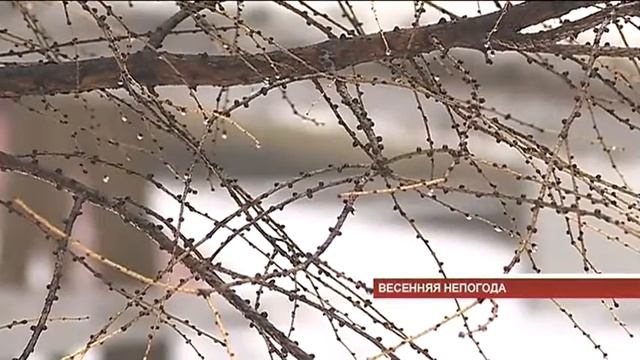 Синоптики прогнозинуют осадки во вторник