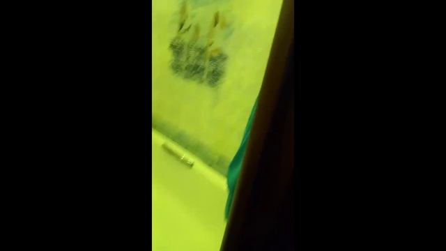Видео без названия —