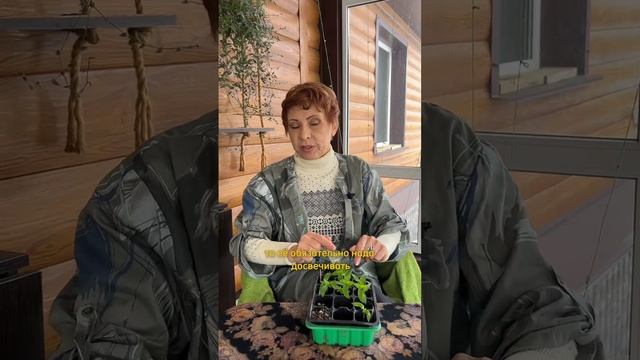 Почему РАССАДА ВЫТЯГИВАЕТСЯ?