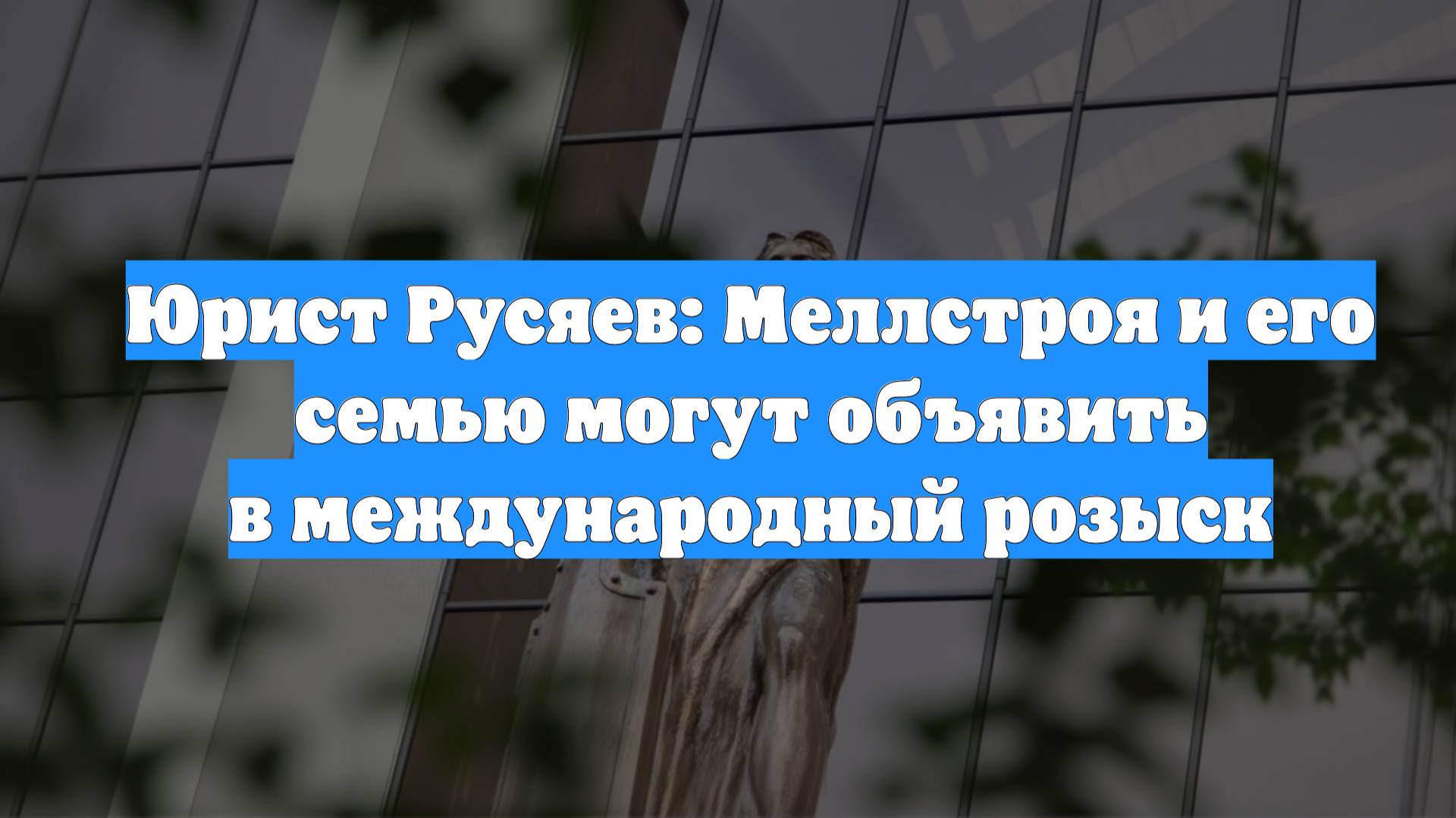 Юрист Русяев: Меллстроя и его семью могут объявить в международный розыск