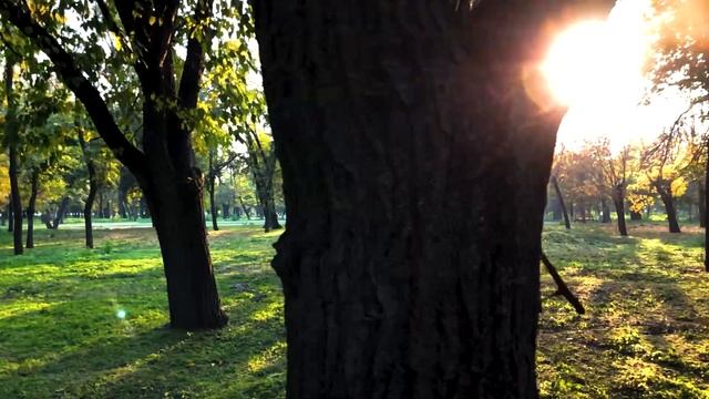 Я ДЕЛАЛА ЭТО ВИДЕО ПОЛГОДА.