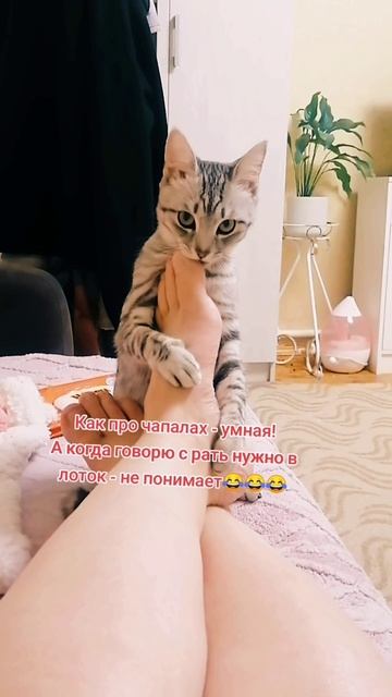 Наша Ляля 😻
