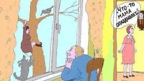 Про тёщу 🤣.