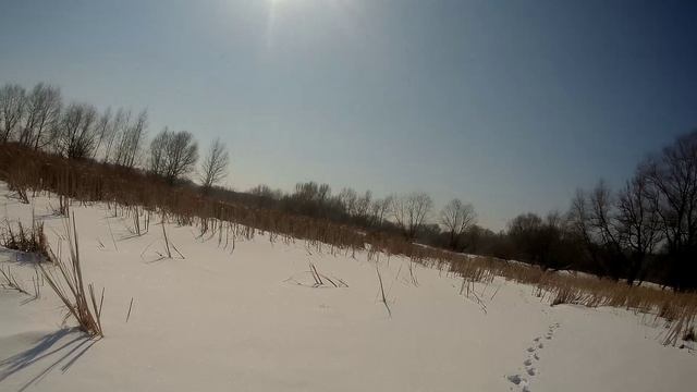 Мартовский день.😊