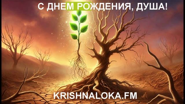 Вячеслав Чернин. Игра и Игроки. Глава 5. С днем рождения, душа!
