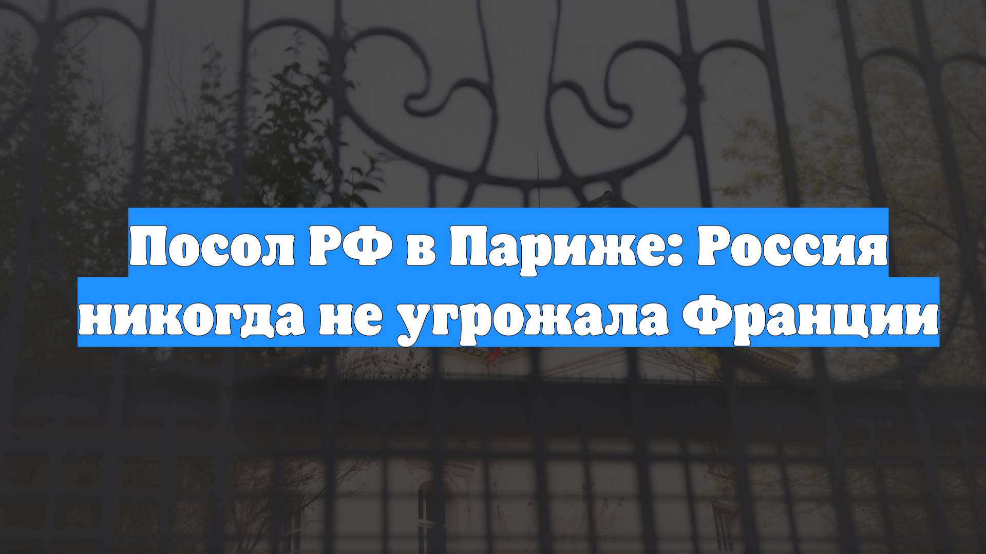 Посол РФ в Париже: Россия никогда не угрожала Франции