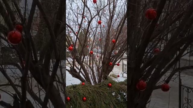 Поездка в Марий-Эл