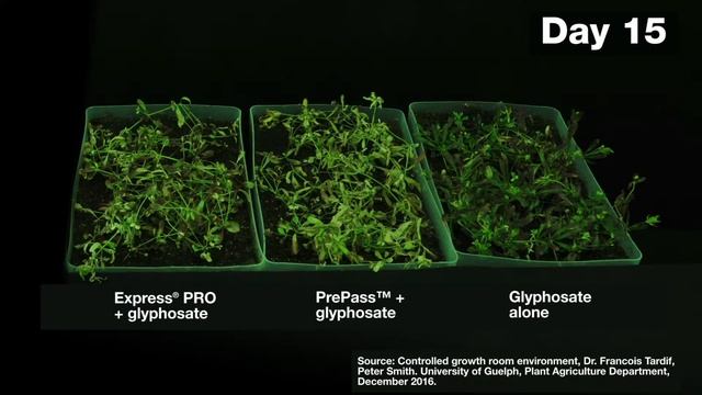 Fire up your pre-seed burnoff with Express® PRO herbicide