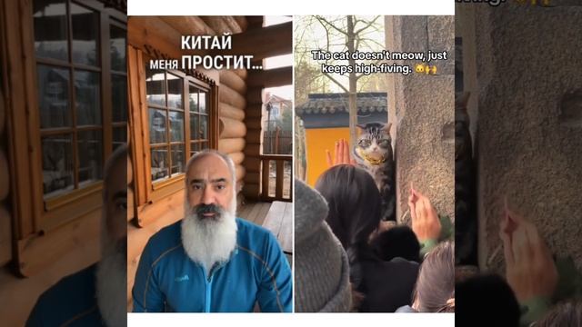 В китайском храме Сиюань завелась новая традиция – давать пять пушистому хозяину храма