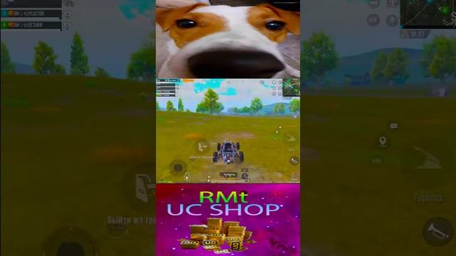 БЕРУ СВОЕГО ПЕРВОГО ЗАВОЕВАТЕЛЯ В ПАБГ МОБАЙЛ  | PUBG MOBILE #shorts #pubgmobile