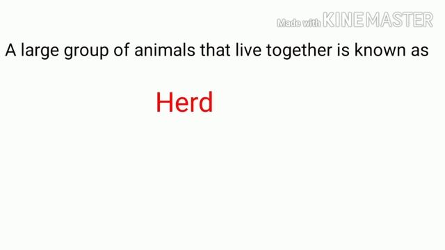 One Word Substitution | Power Words To Describe Your Personality | Advanced English Lesson
