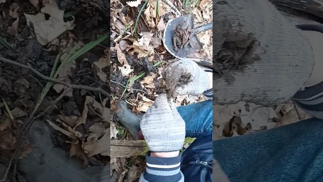 откопали бомбу