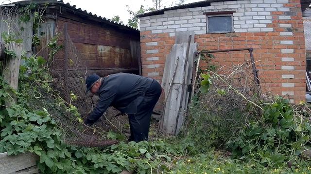 ЖИВЕМ В ДЕРЕВНЕ!!!ДОБИРАЕМСЯ ДО ЛОГОВА ХМЕЛЯ И ПРОВОДИМ ОПЕРАЦИЮ ПО ЕГО УНИЧТОЖЕНИЮ!УЖАСНЫЕ КОРНИ!