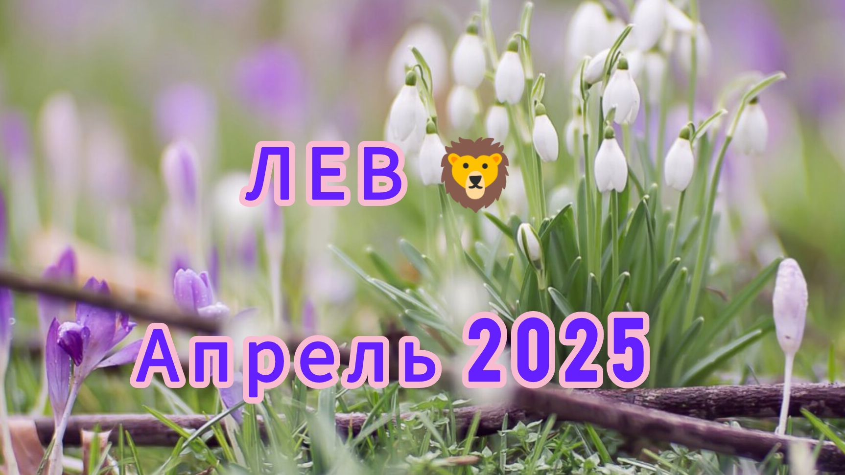 ЛЕВ 🦁 апрель 2025 года. Расклад таро.Рог изобилия!!!